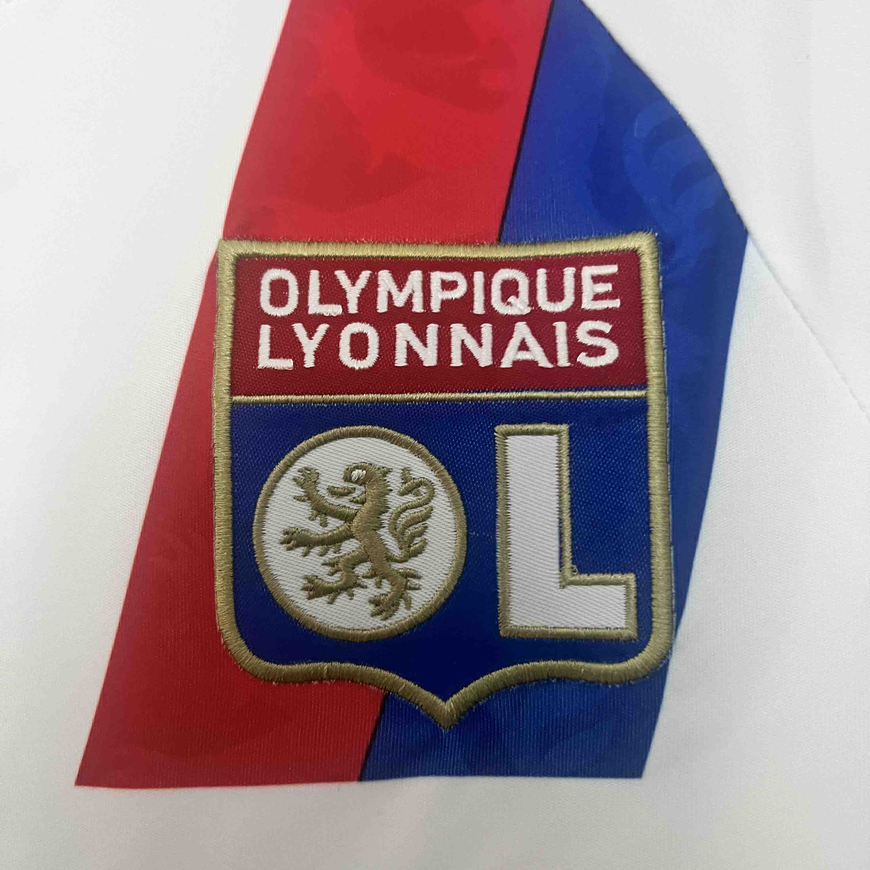 Olympique Lyonnais Retro Football Jersey Home Custom Shirt 2010-11