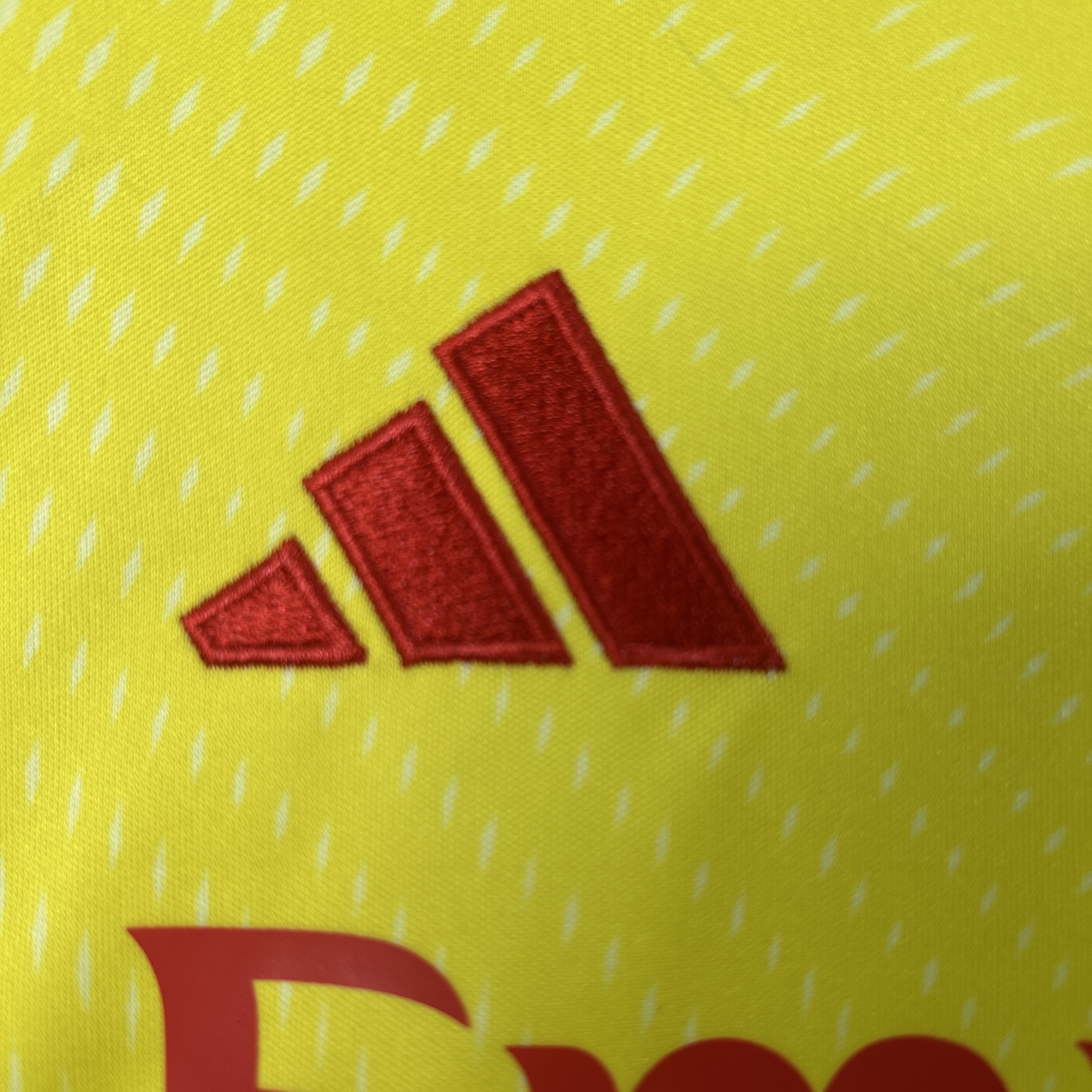 Benfica Soccer Jersey Goalkeeper Kids Kit Jersey+Shorts 2025/26