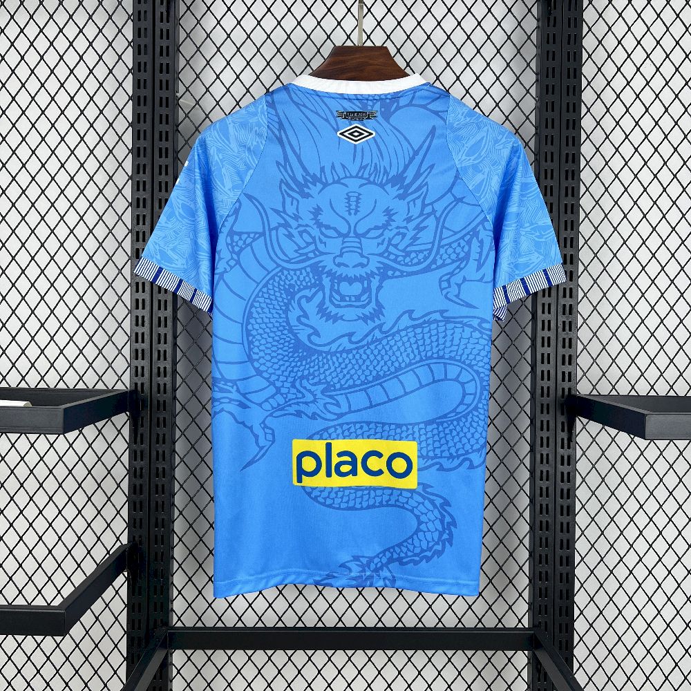 Santos FC Soccer Jersey Special Edition Custom Shirt 2025