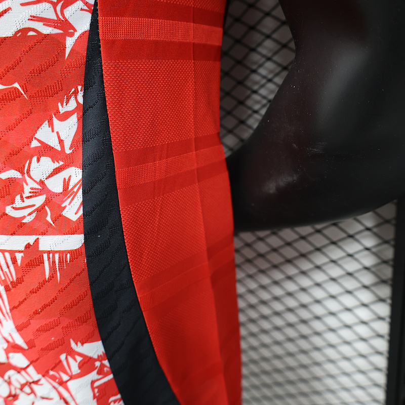 Japan Authentic Soccer Jersey Special Edition Shirt 2025