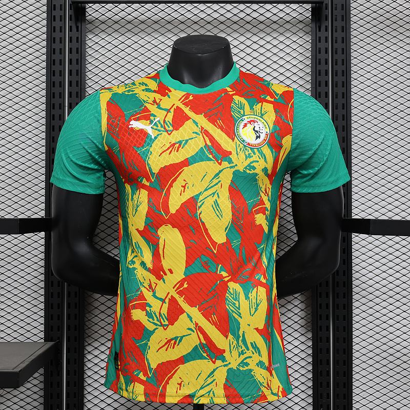 Ivory Coast Authentic Soccer Jersey Pre-Match Shirt 2024