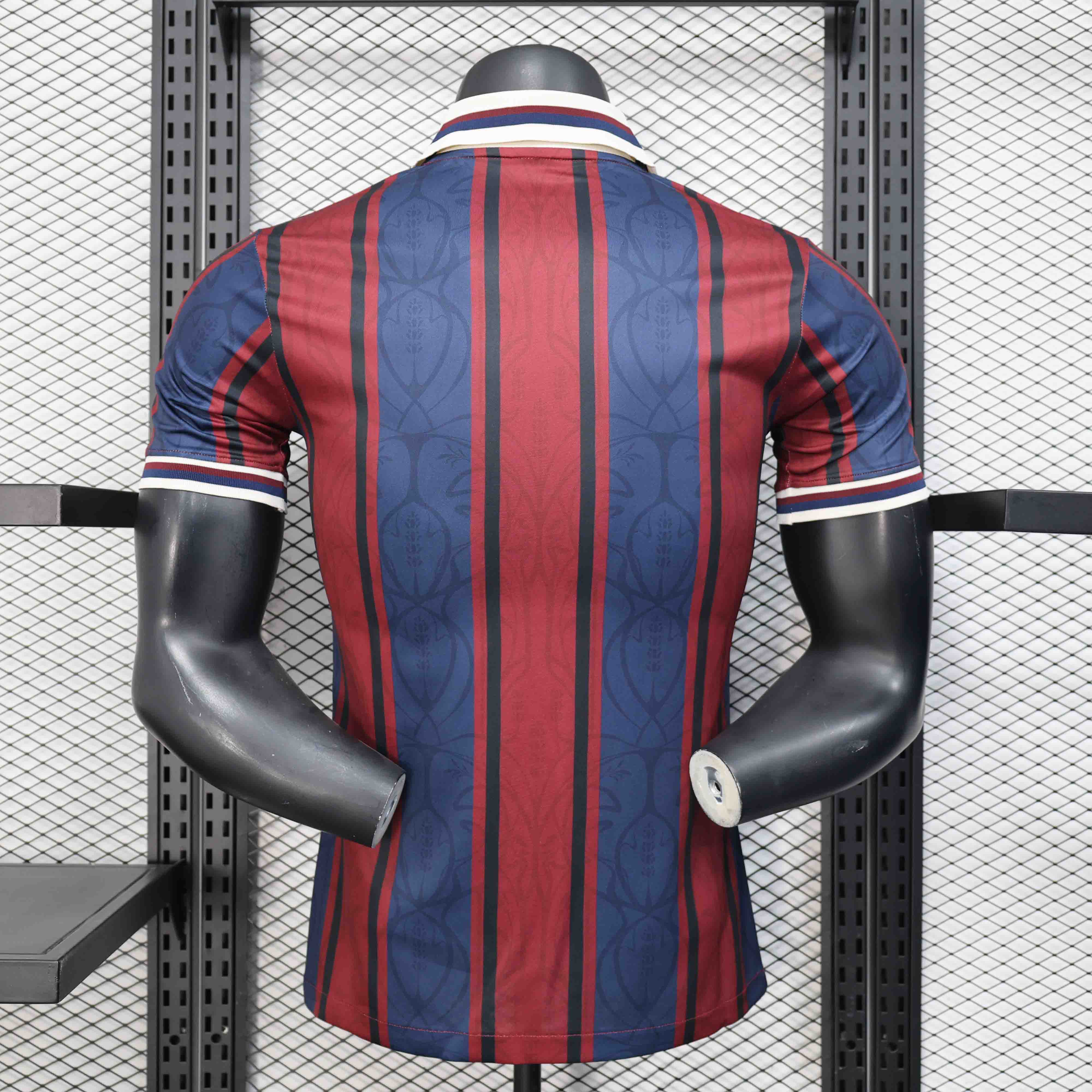 Authentic Soccer Jersey Barcelona Special Edition Shirt 2025/26