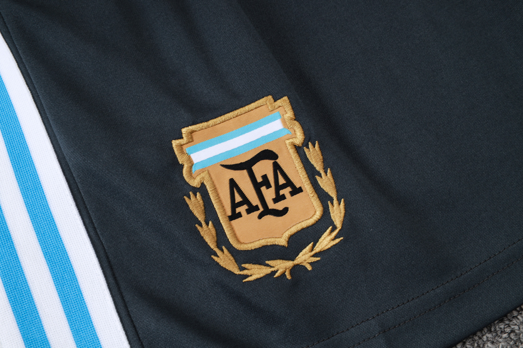 Argentina Training Jersey Kit Gray 2025