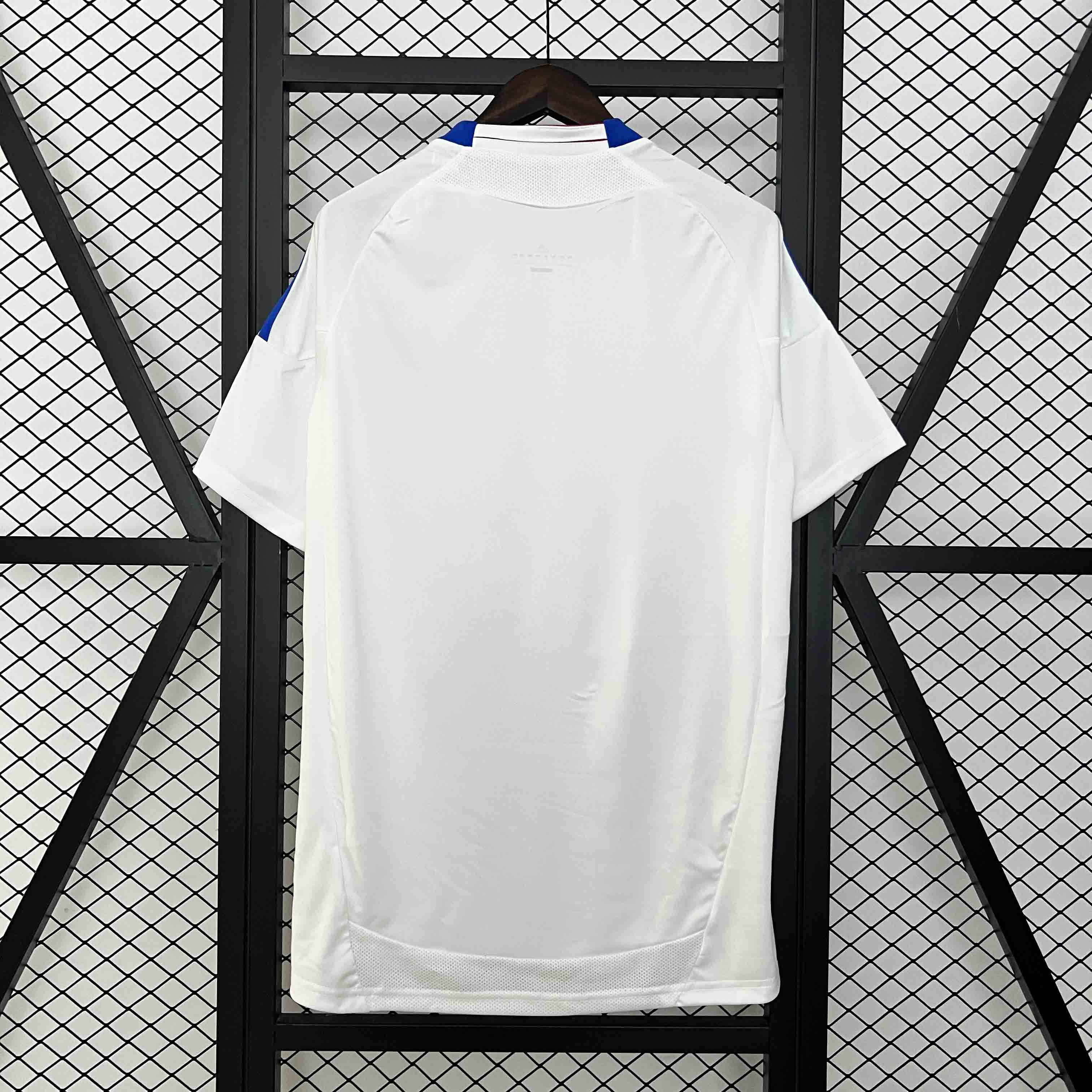 Olympique Lyonnais Retro Football Jersey Home Custom Shirt 2010-11