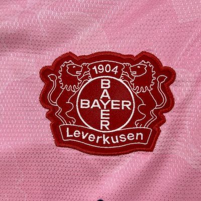 2025-26 Bayer 04 Leverkusen Away Jersey