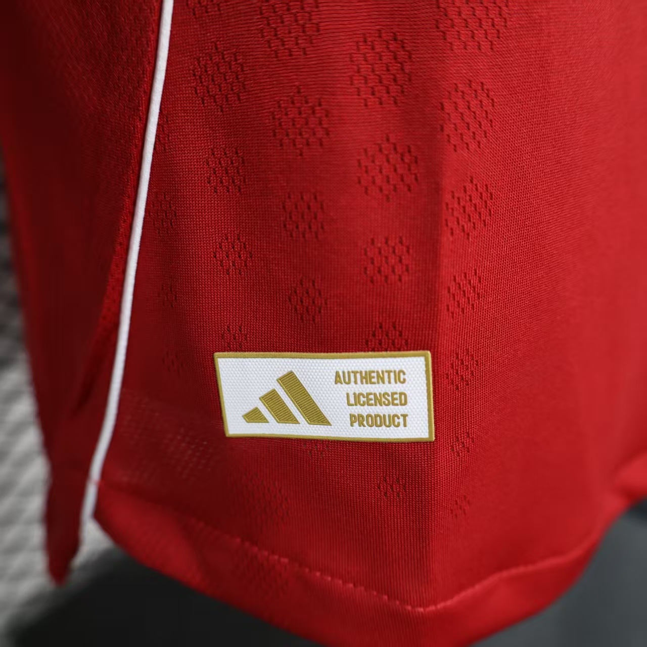 Player Version 25-26 LIverpool Home Long Sleeve Jersey