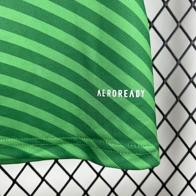 2025-26 Newcastle United Away Jersey