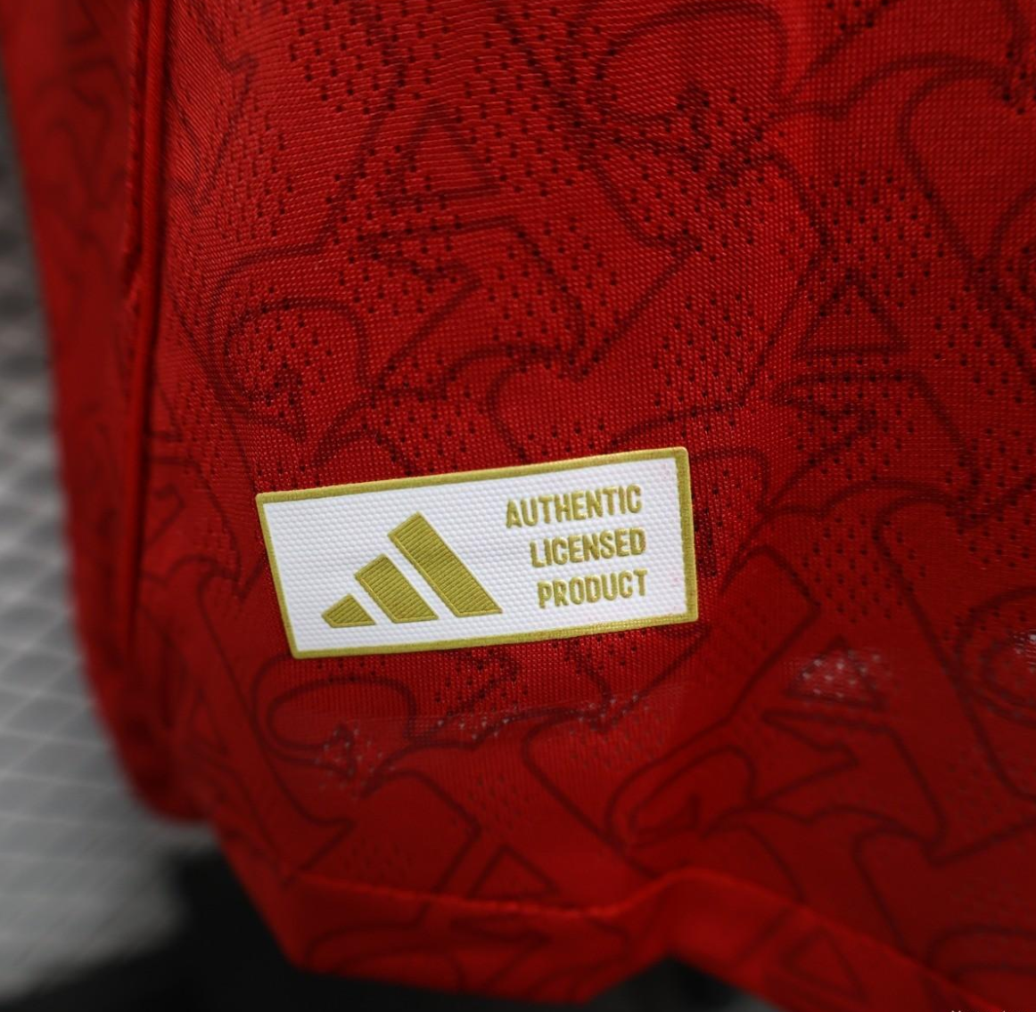 Player Version 25-26 Arsenal Home Long Sleeve Jersey