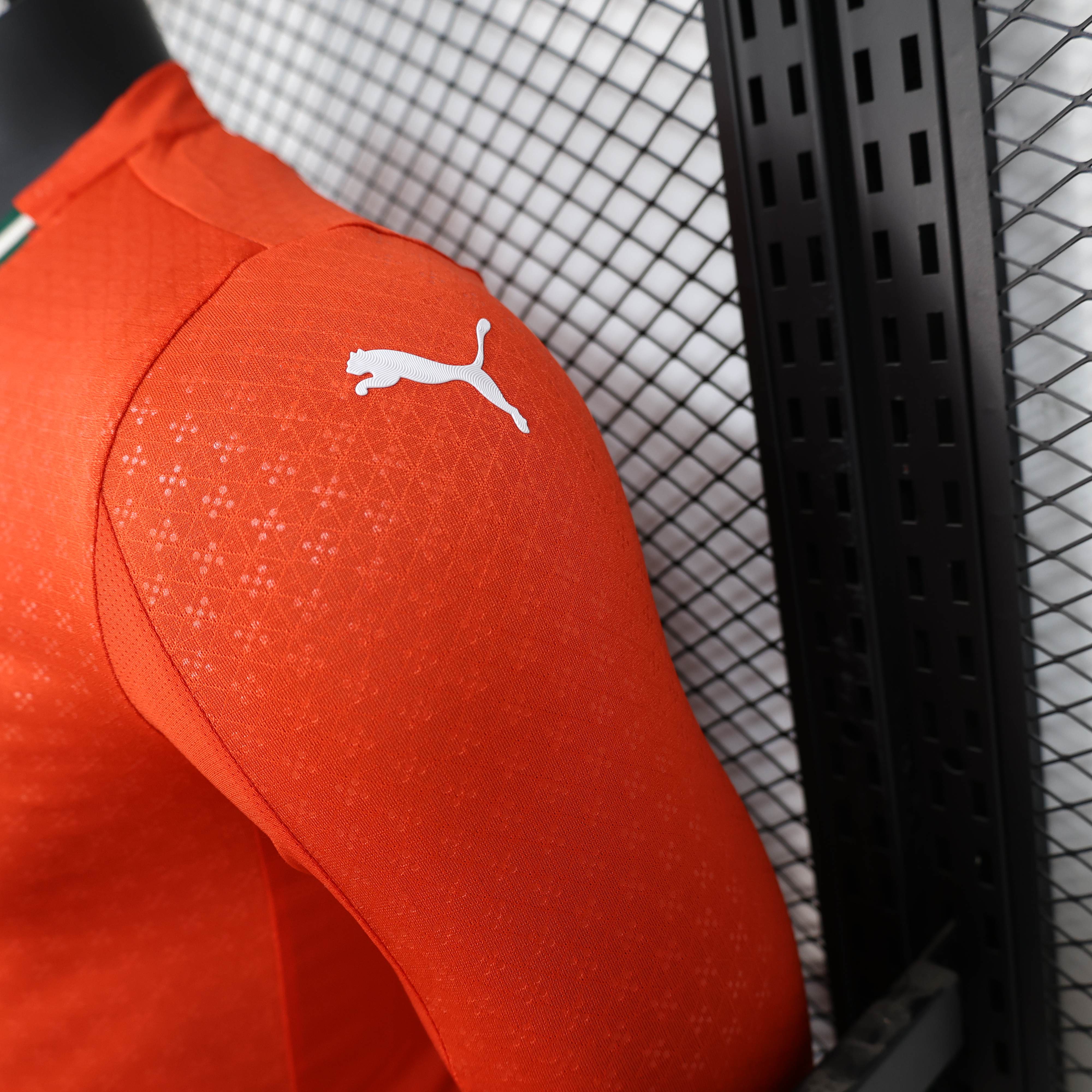 Authentic Puma Soccer Jersey Portugal Home Shirt Long Sleeve 2025