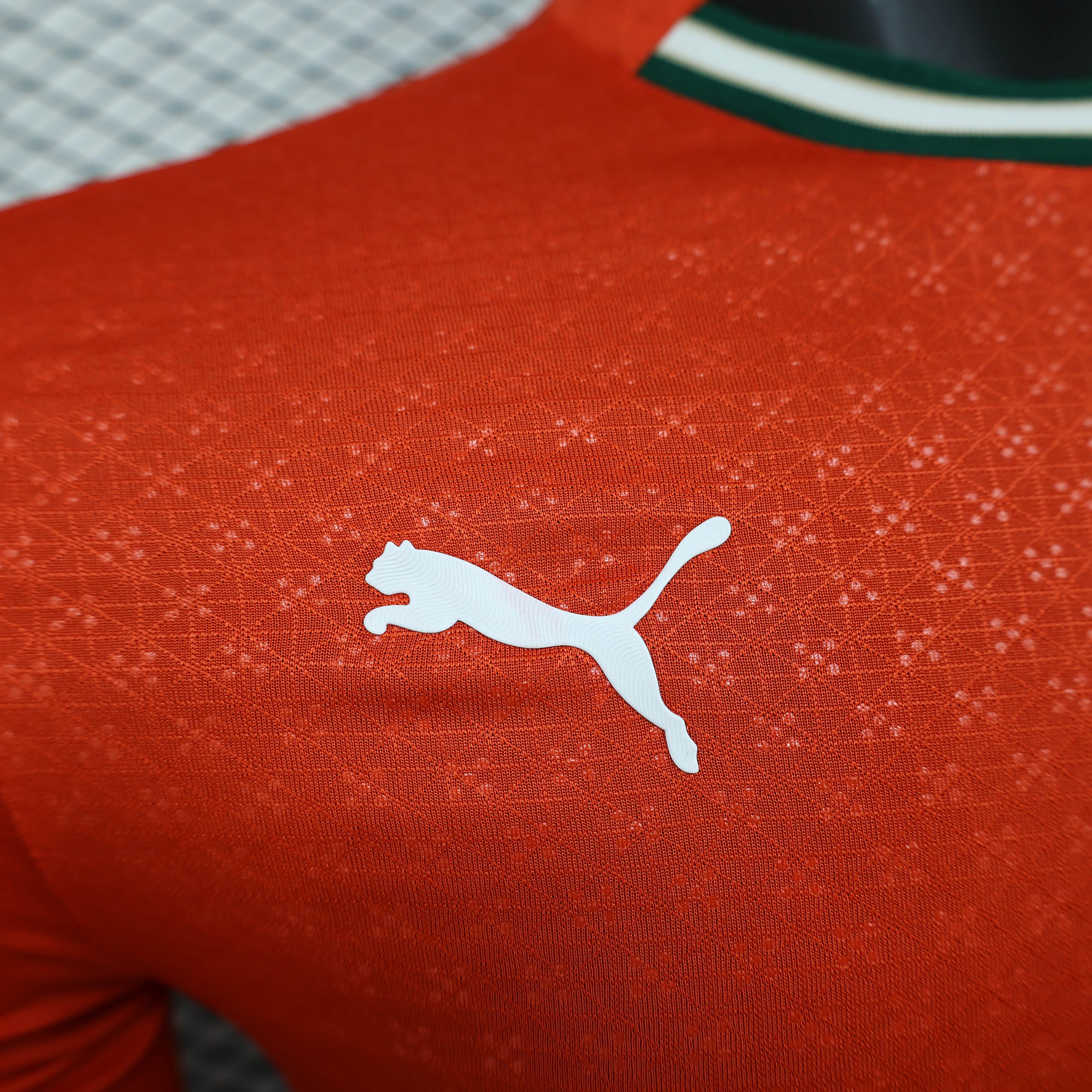 Authentic Puma Soccer Jersey Portugal Home Shirt Long Sleeve 2025