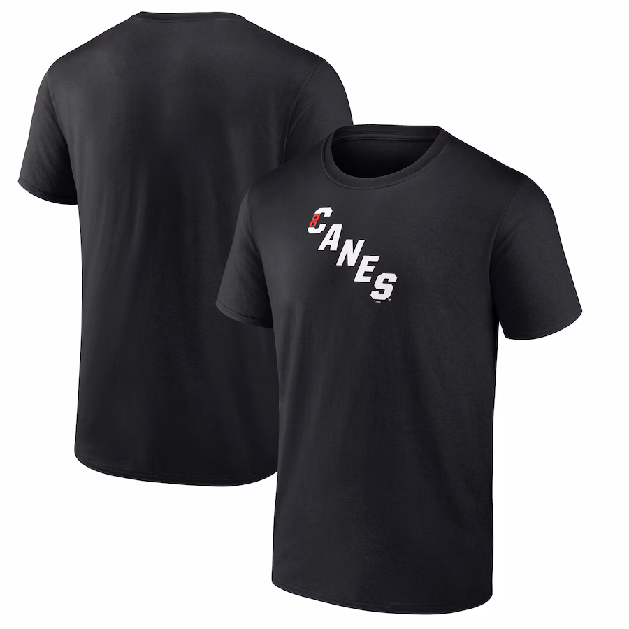 Men's Carolina Hurricanes Black Team Primary Logo Graphic T-Shirt