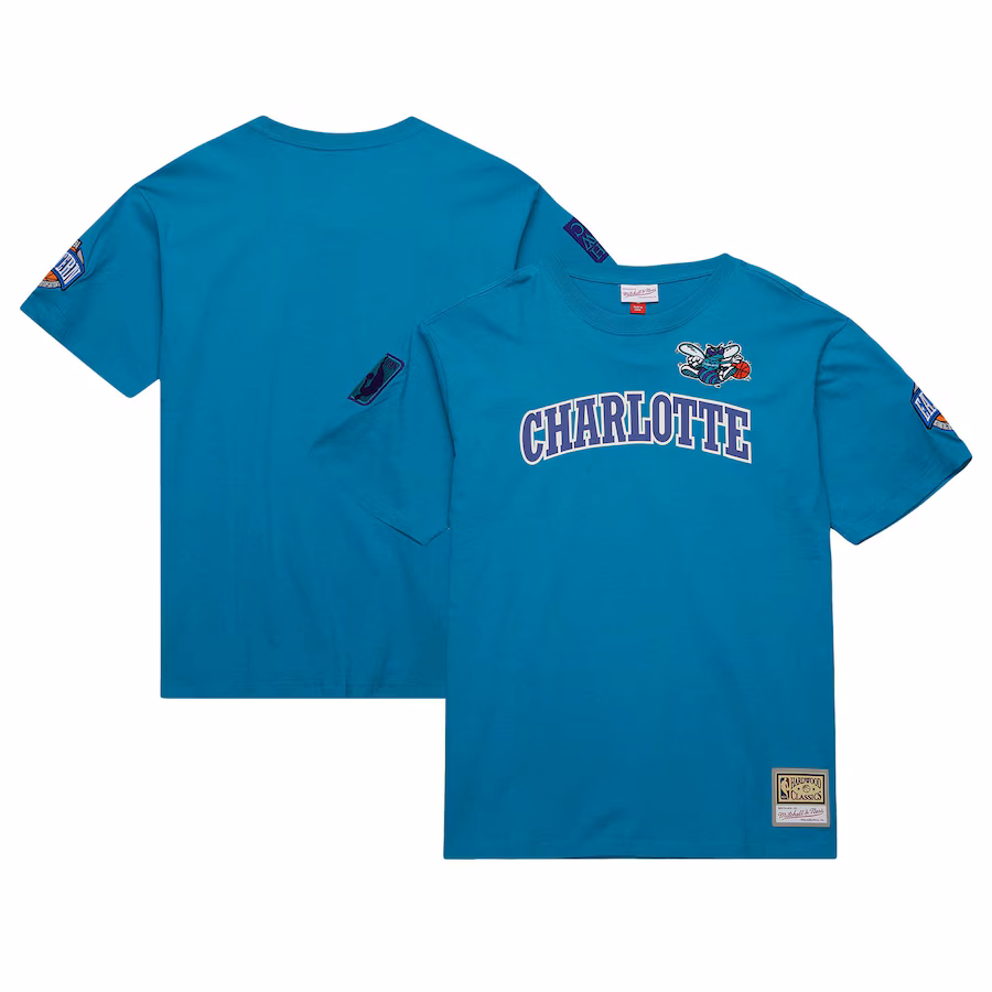 Men's Charlotte Hornets Mitchell & Ness Teal Hardwood Classics Nights Premium T-Shirt