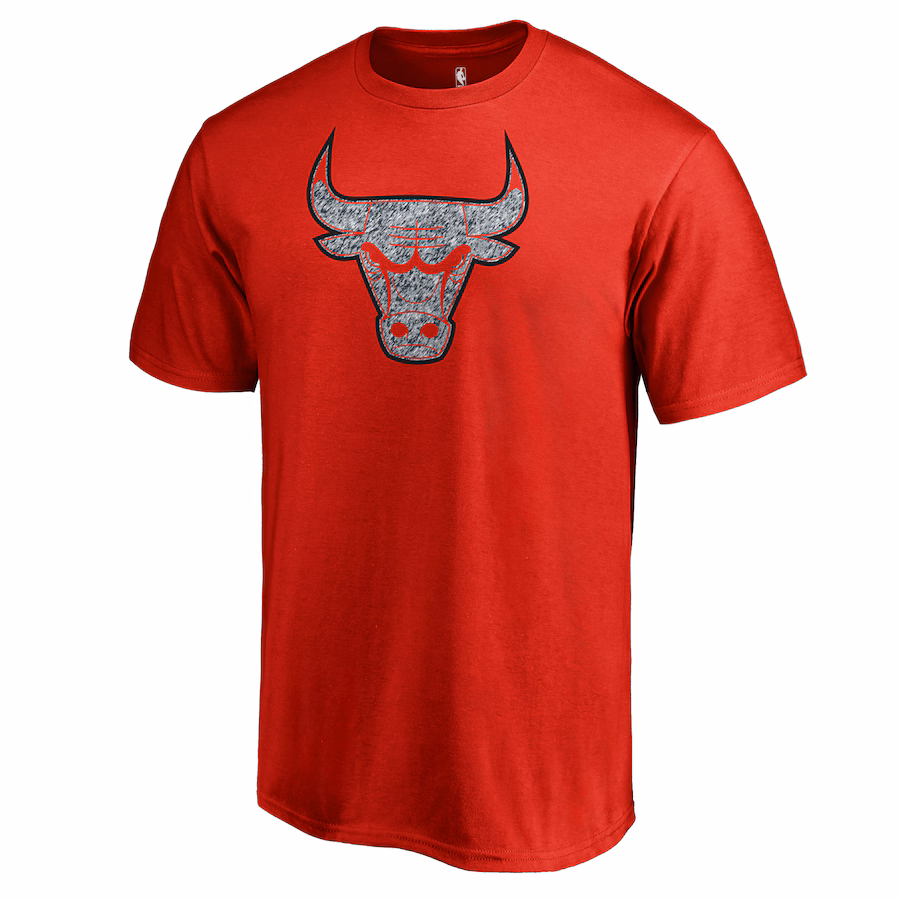 Men's Chicago Bulls Red Static Logo T-Shirt