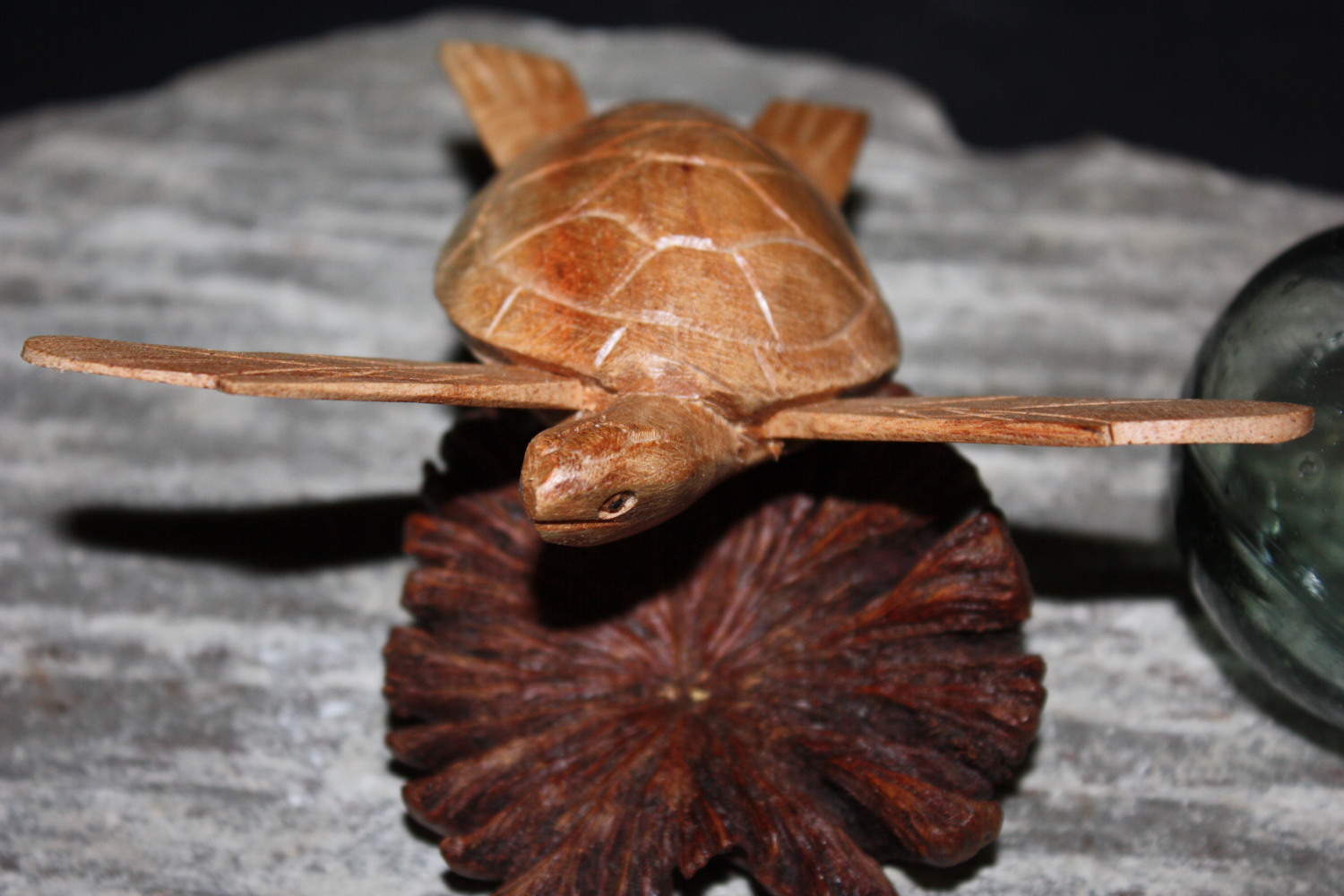 Swimming Sea Turtle w/ Driftwood Base 5