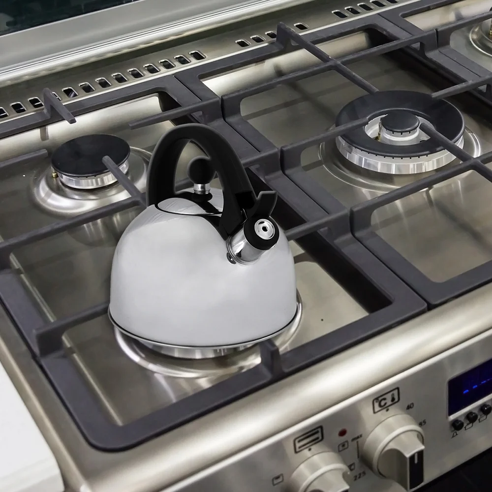 Home Basics 2.5L Tea Kettle, Stainless Steel