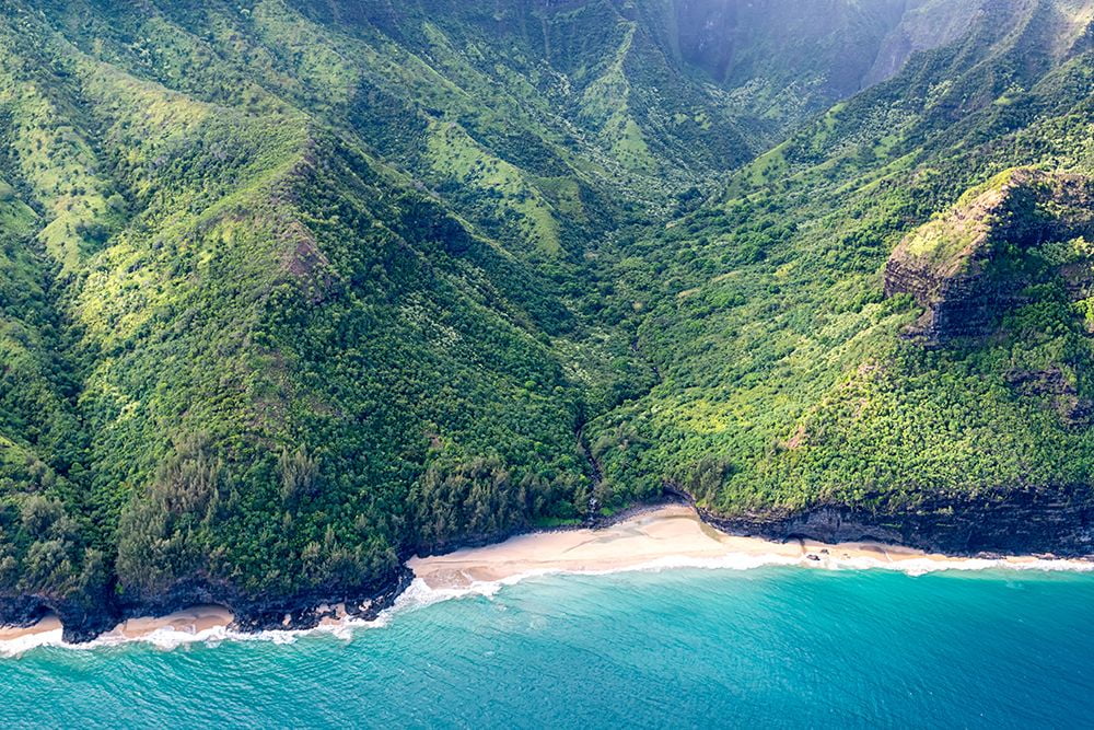 Head, Danny 32x23 Black Ornate Wood Framed with Double Matting Museum Art Print Titled - Northshore V