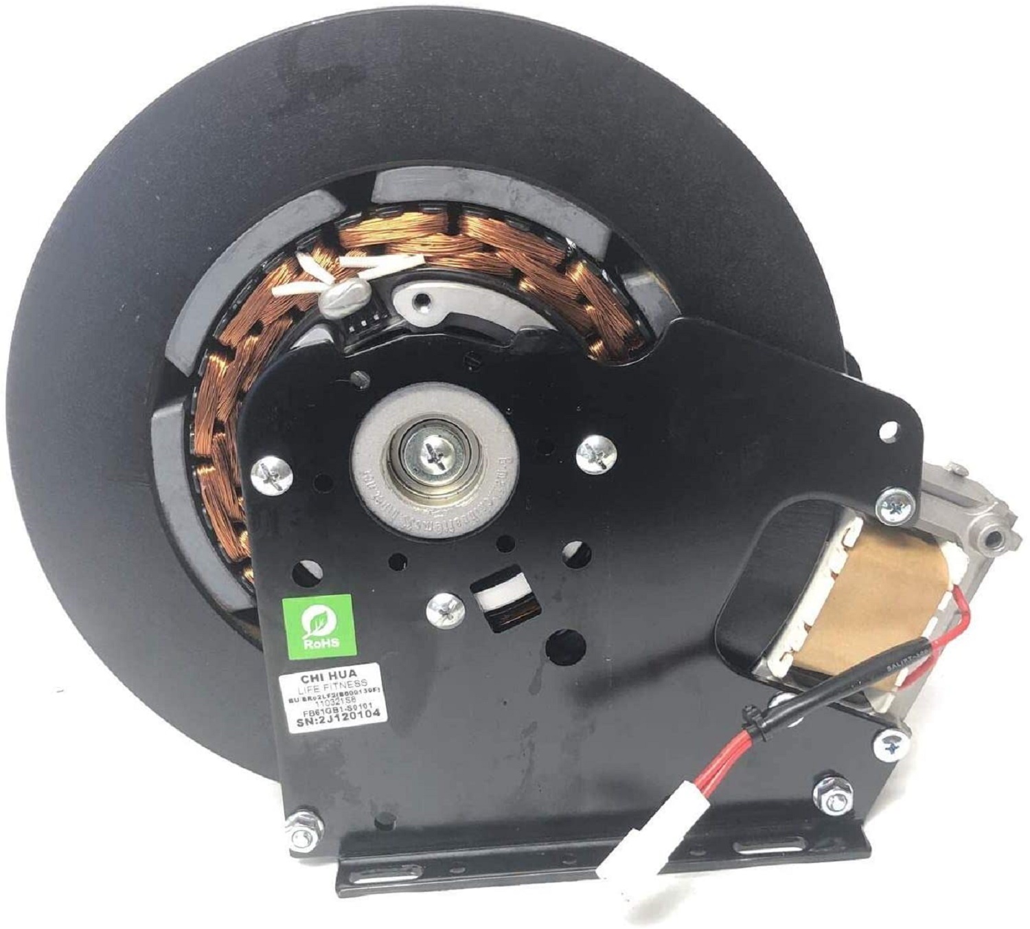 Life Fitness Magnetic Resistance Brake Assembly 110321SB REX21S8 Works Lifecycle Recumbent Bike