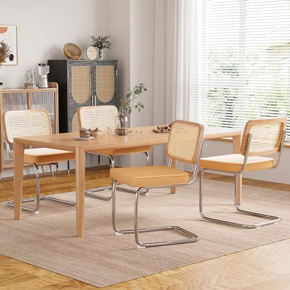 HBBOOMLIFE Kitchen Dining Chairs Set of 2 Mid-Century Modern Chair Armless Mesh Backrest Cane Rattan Chairs for Home Dining Room(Dark Green Teddy Velvet)