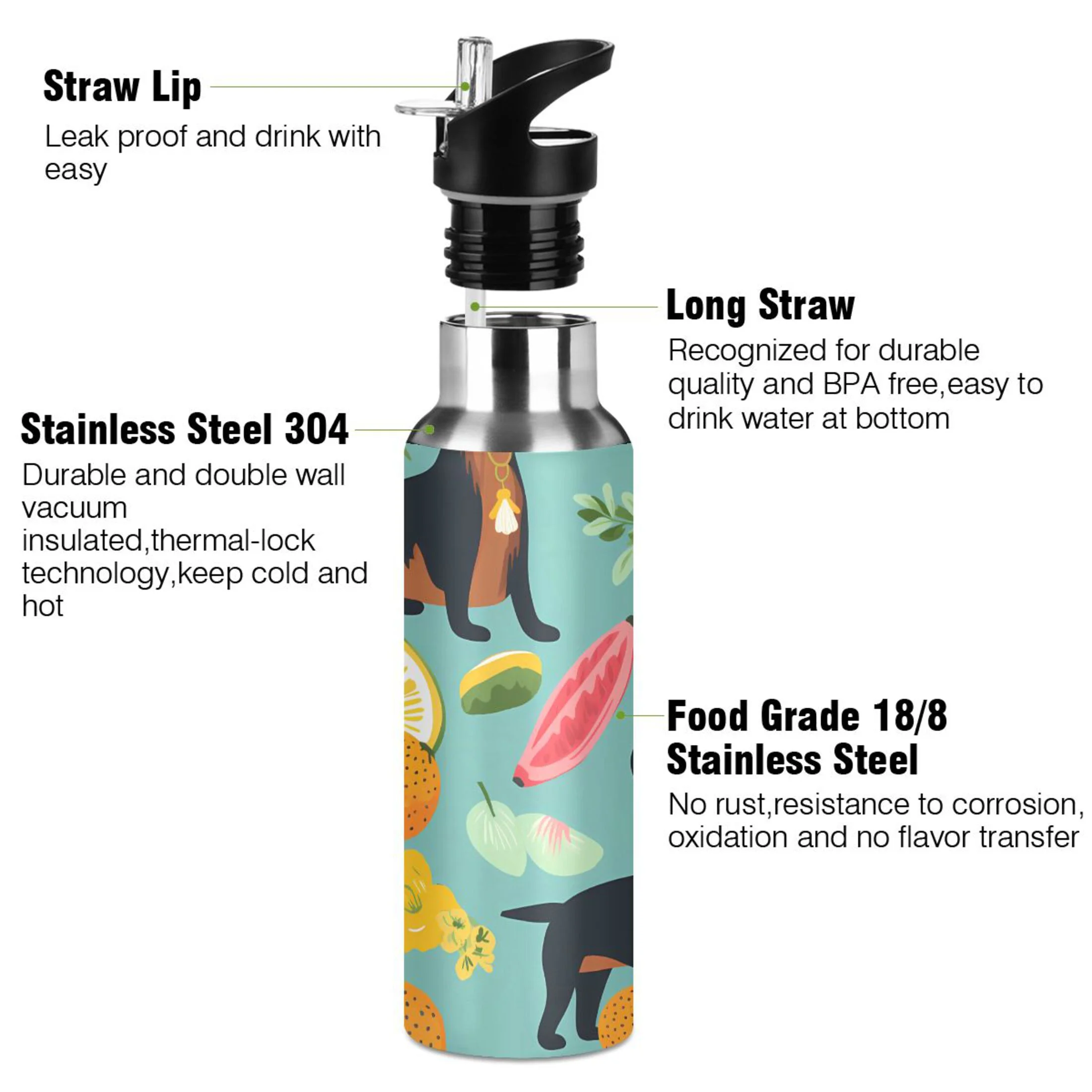 Dogs and Fruits Water Bottles Insulated Thermos Kids Stainless Steel Bottle with Straw Lid Flask Leakproof for Sports Gym 20 oz