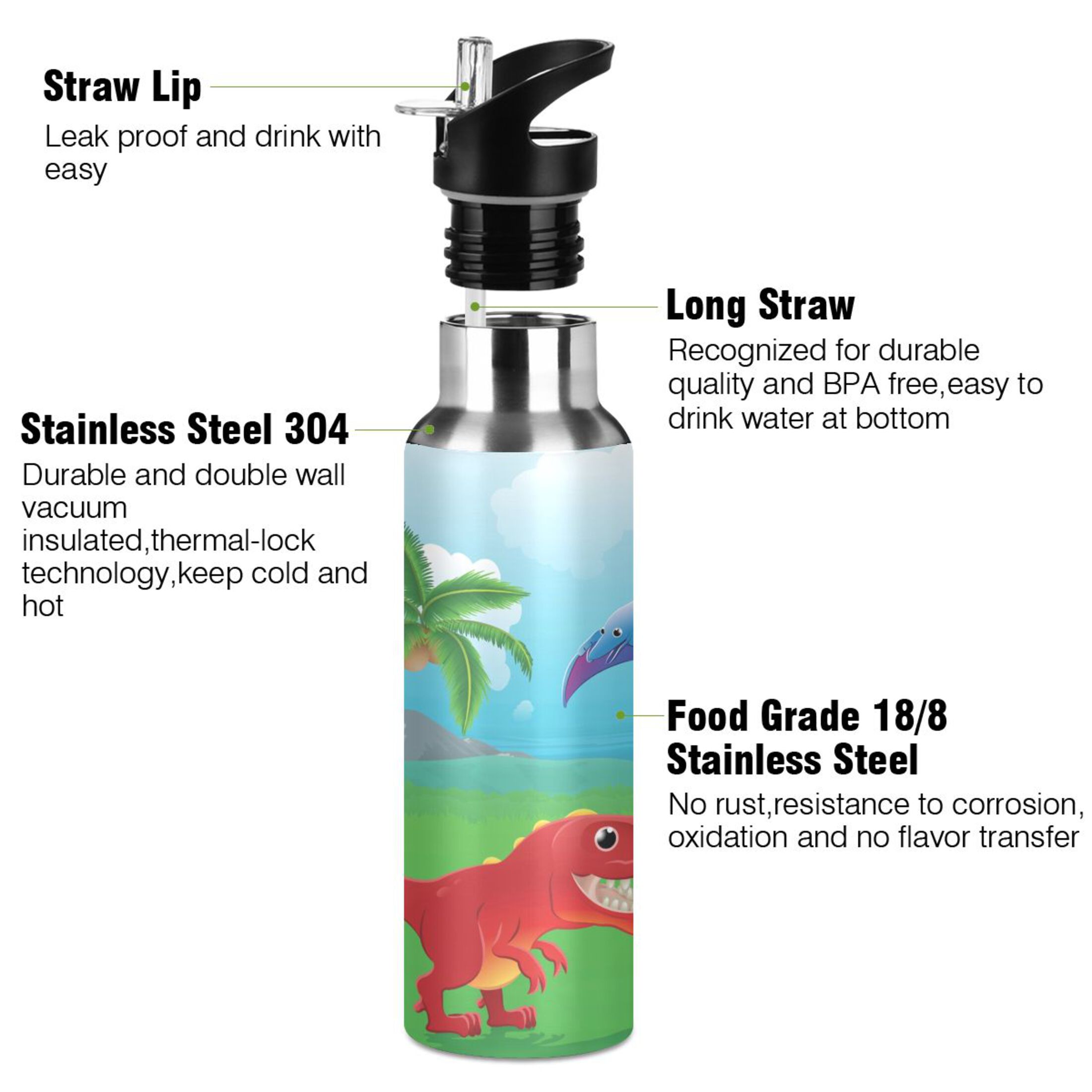 Stainless Steel Water Bottle Dinosaurs Red with Straw Lid Vacuum Insulated Keeps Hot and Cold Leak Proof Flask Jug for Gym Travel Sports Cycling Outdoor 20 OZ