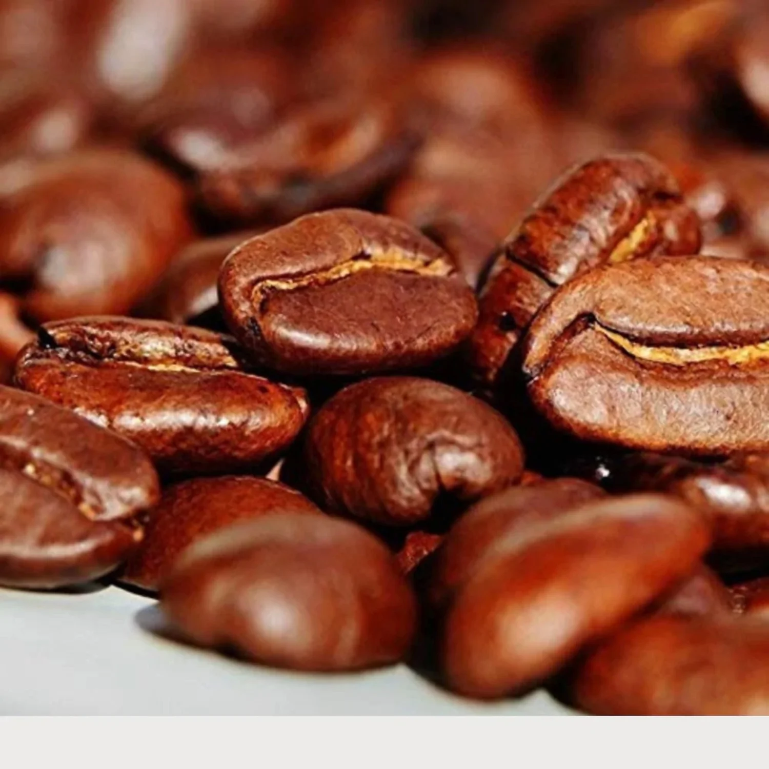 Premium Kaya Kopi Kona From Hualalai And Mauna Loa On Hawaiis Big Island - Medium Roast Robusta Arabica Roasted Whole Coffee Beans, 12 Ounce