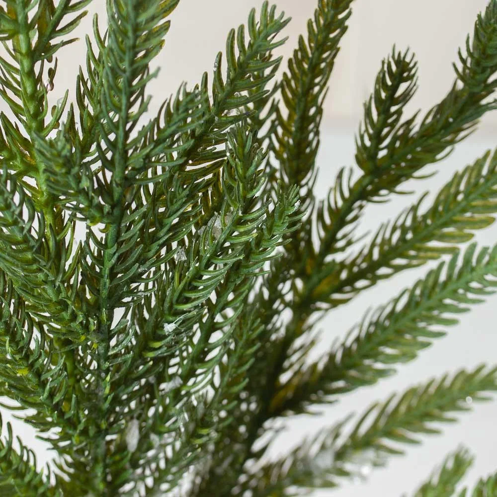 3 Snowy Cypress Branches: Bring the Winter Wonderland Indoors