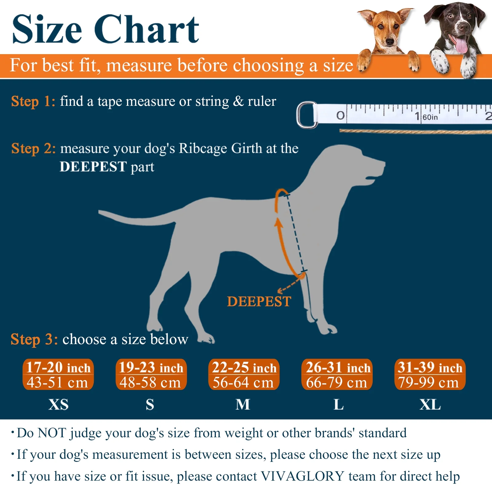 VIVAGLORY Dog Life Jacket Vest for Swimming, Sports Style, Pink, Large