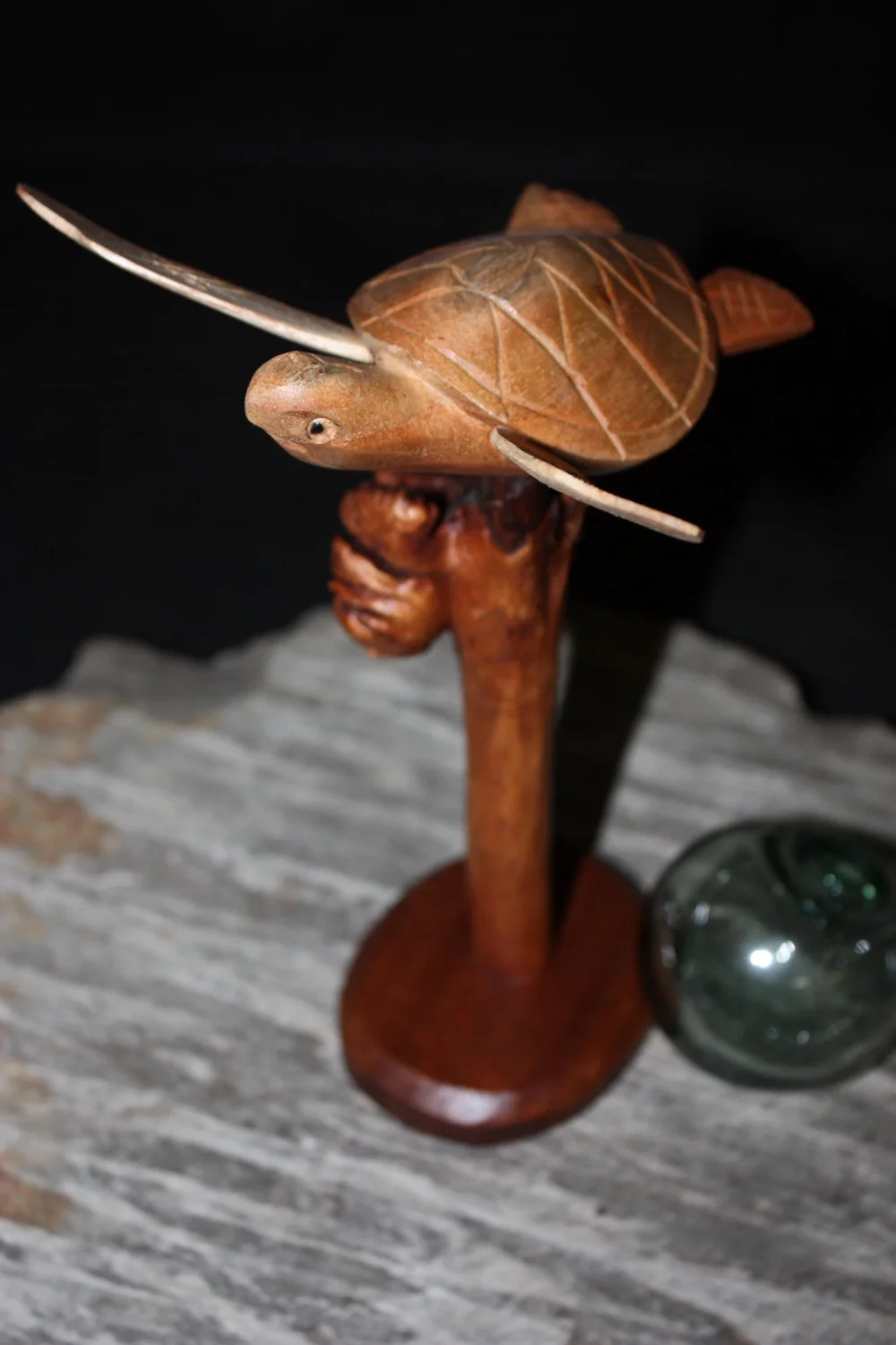 Swimming Sea Turtle w/ Driftwood Base 9