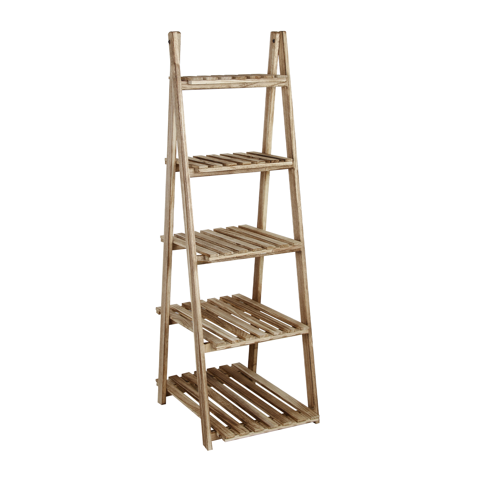 Fionafurn 5-Tier 51'' Ladder Shelf Bookshelf Bookcase Storage Display Plant Leaning Shelf Natural