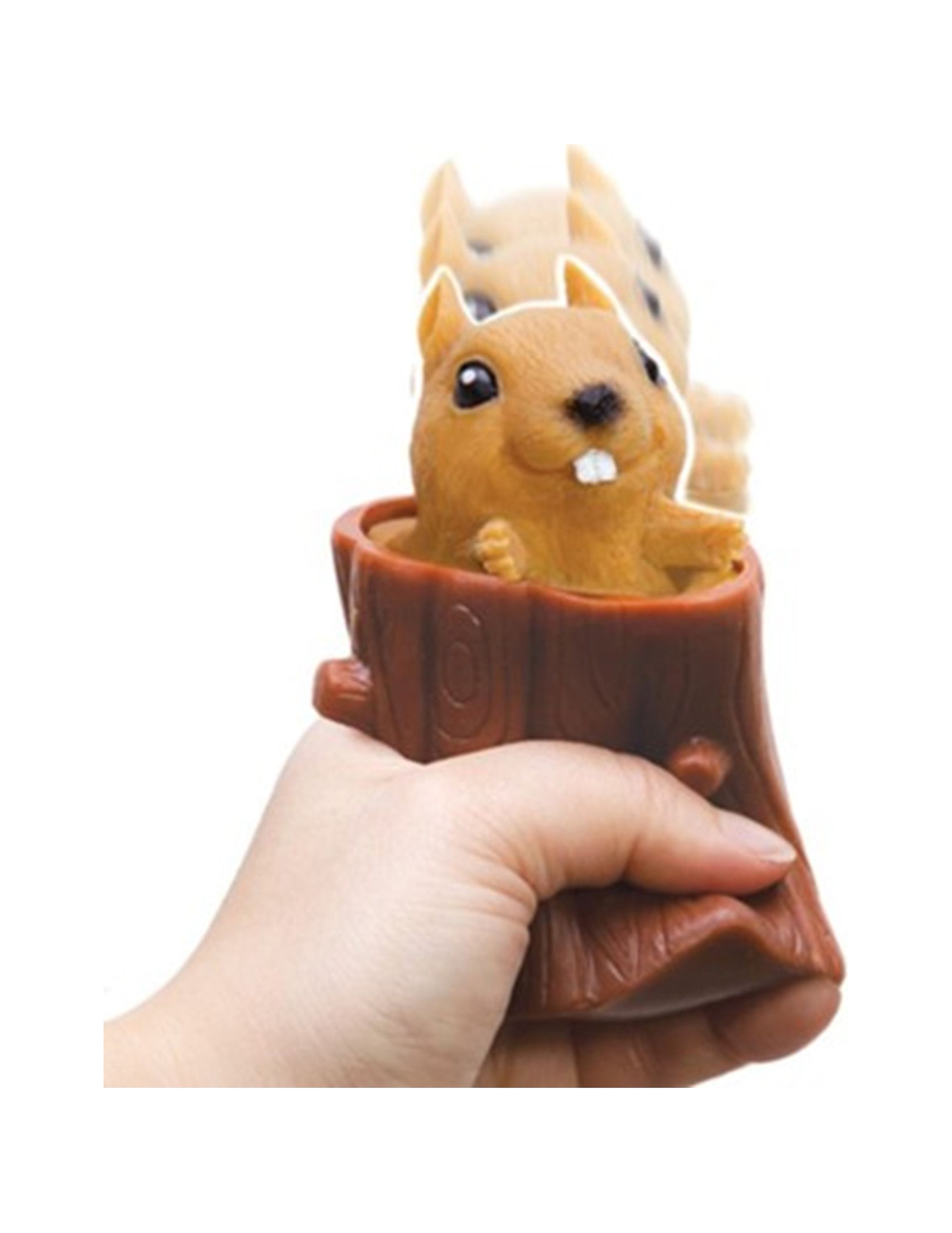 Nutty Squirrel Popper Toy from Schylling Toys Age 3+