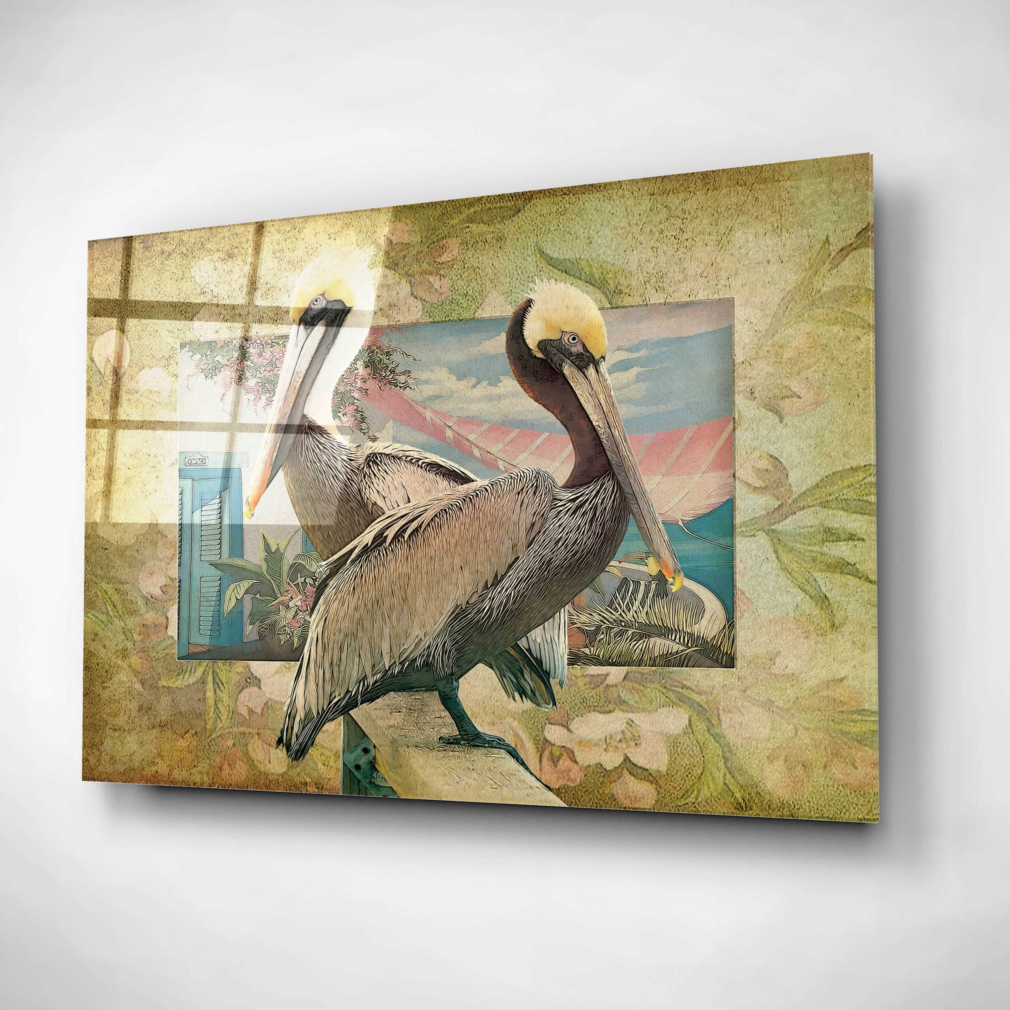 Epic Art 'Pelican Paradise IV' by Steve Hunziker, Acrylic Glass Wall Art, 16