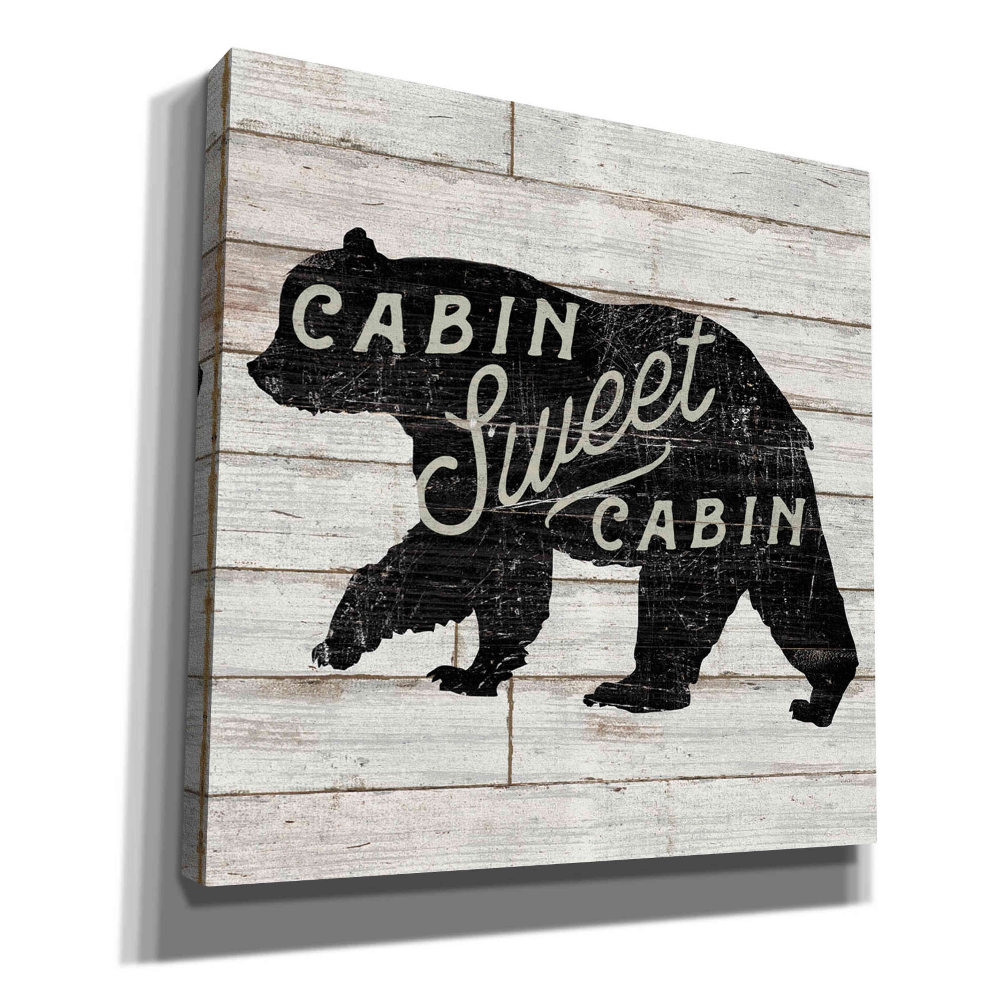 Epic Graffiti 'Lake Lodge IV' by Sue Schlabach, Canvas Wall Art, 26