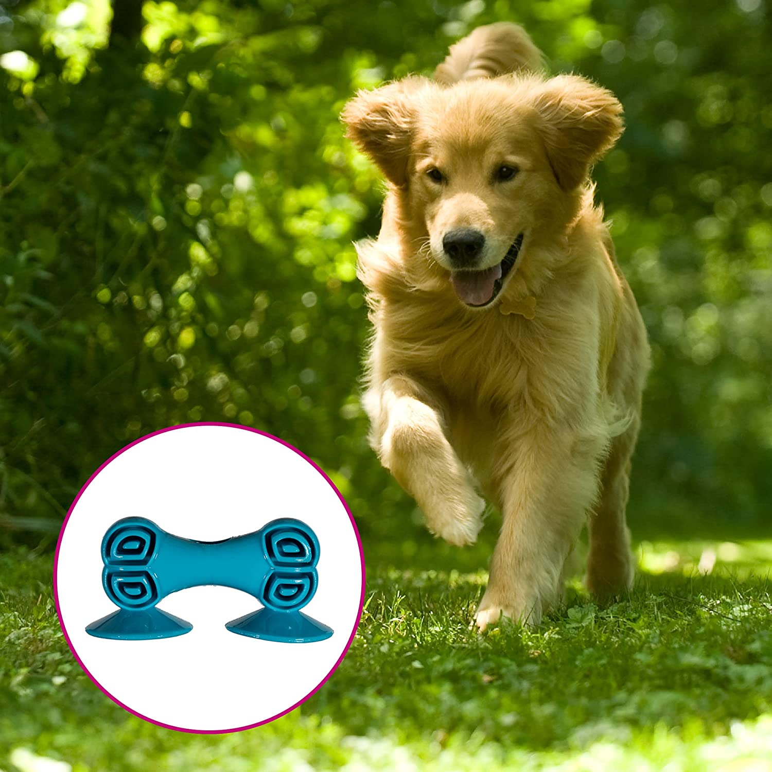 Chase 'n Chomp Sticky Bone Pet Chew Toy, Sticks to Floor and Flat Surfaces, Provides Hours of Fun for Your Dog, Fillable, Durable & Heavy Duty