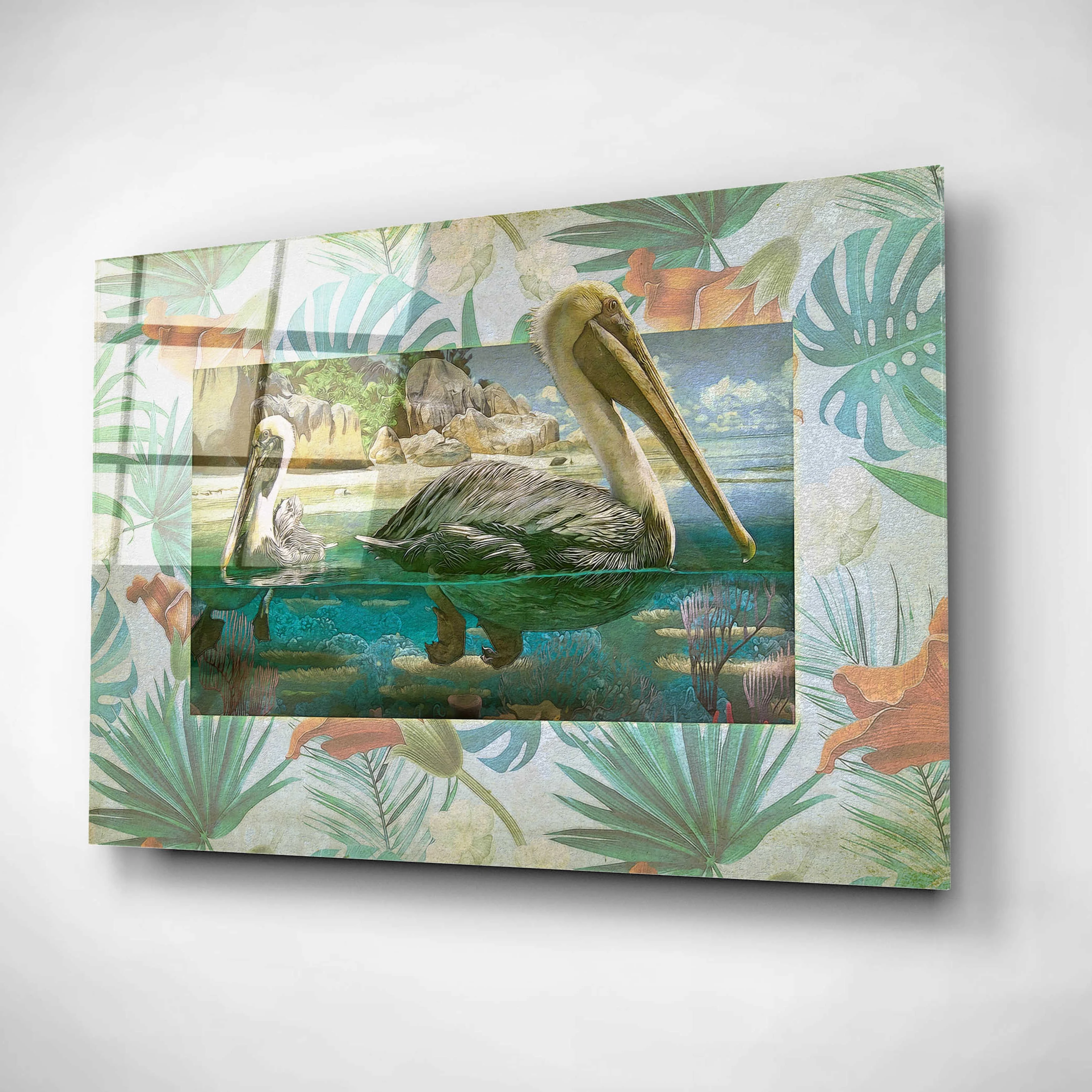 Epic Art 'Pelican Paradise V' by Steve Hunziker, Acrylic Glass Wall Art, 16