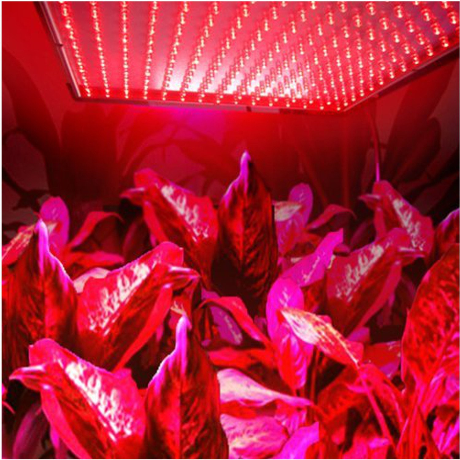HQRP 13.8W 225 LED Red Spectrum Hydroponic Plant Grow Light Panel / Lamp