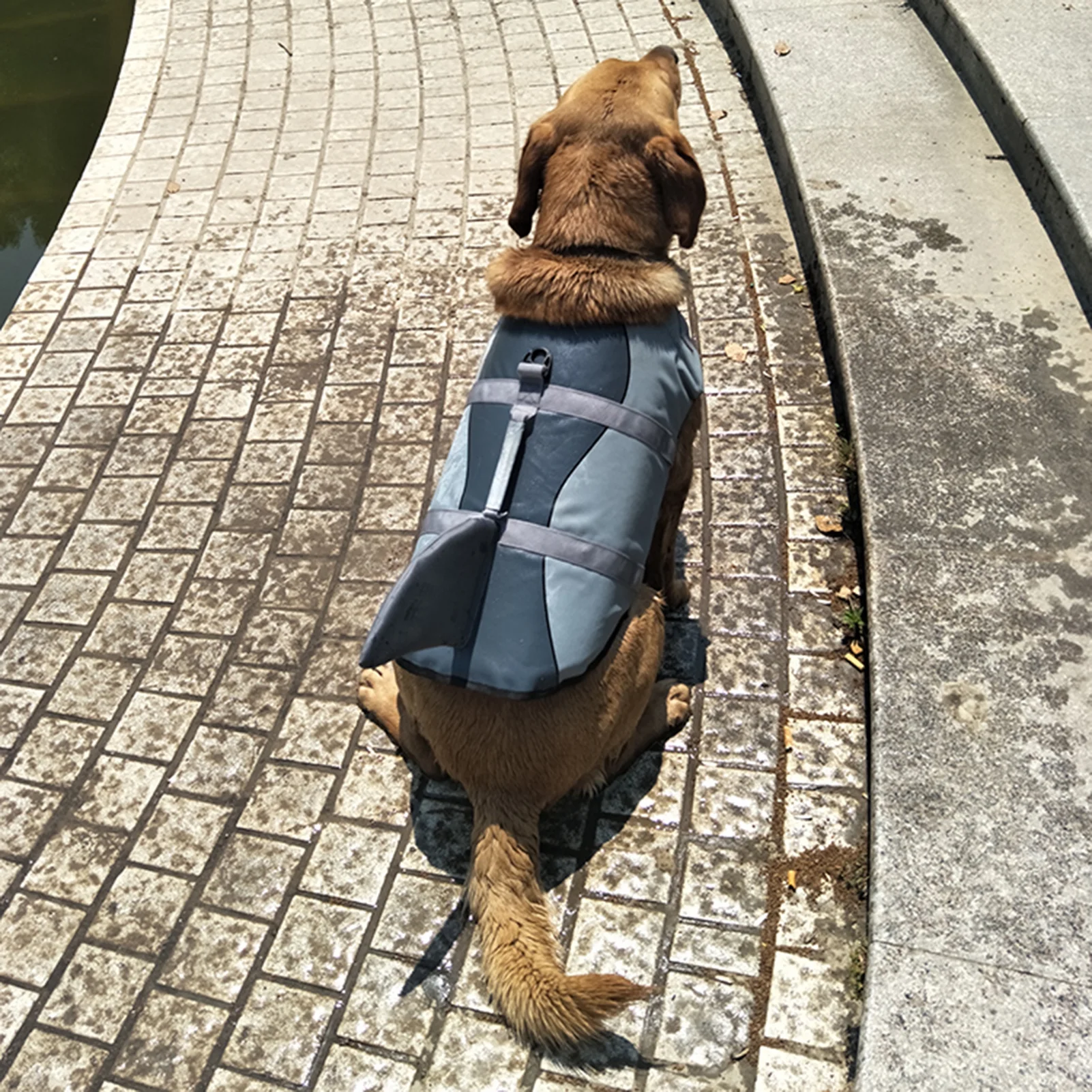 Dog Pet Shark Swimsuit Vest Pet Safety Wear Dog Swimsuit Preserver For Water Safety Device At The Pool, Beach, Boating