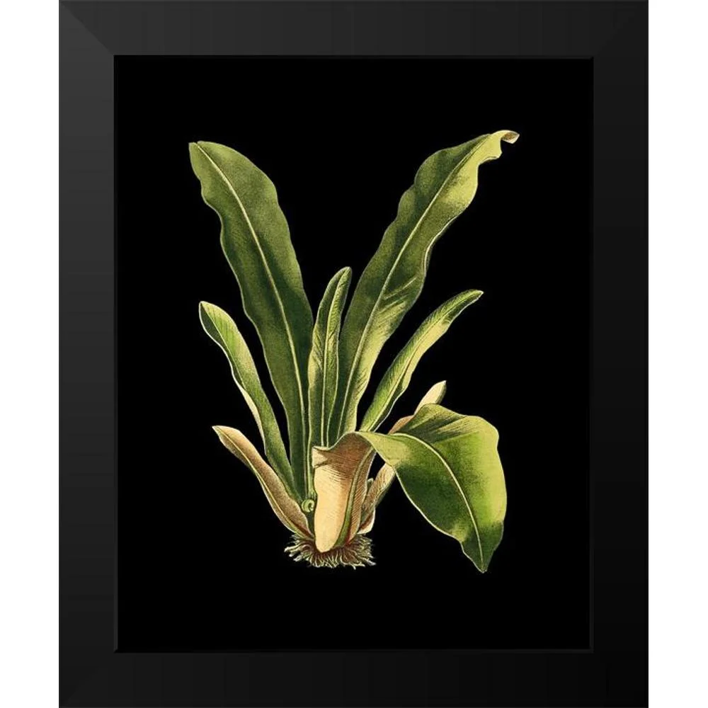 Vision Studio 12x14 Black Modern Framed Museum Art Print Titled - Custom Green Leaves on Black III (LG)