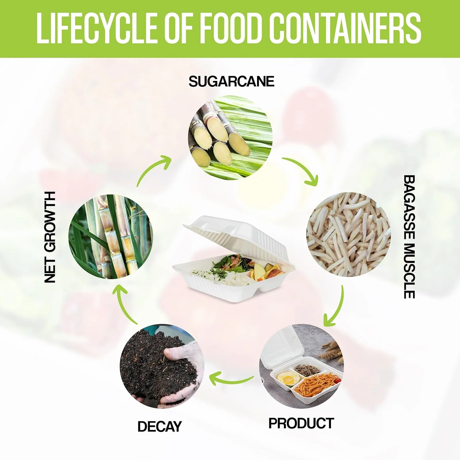 UEG CLUB Premium 8x8x3 Disposable To Go Containers - Food Takeout Boxes, Disposable, Leakproof, Microwave Safe (25 ct)