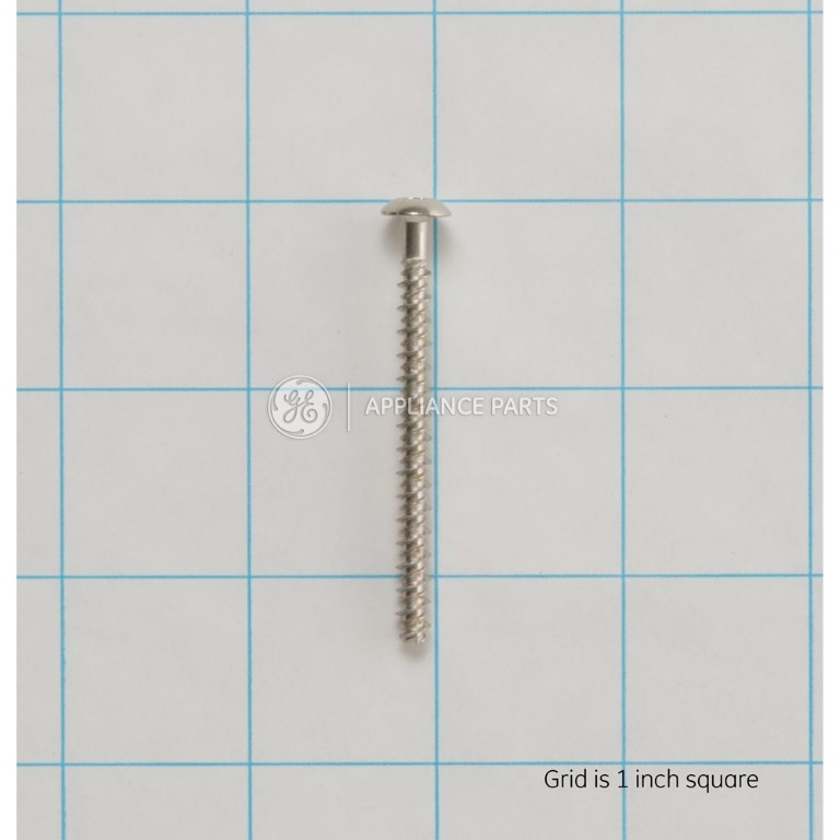 WB01T10067 GE Screw OEM WB01T10067