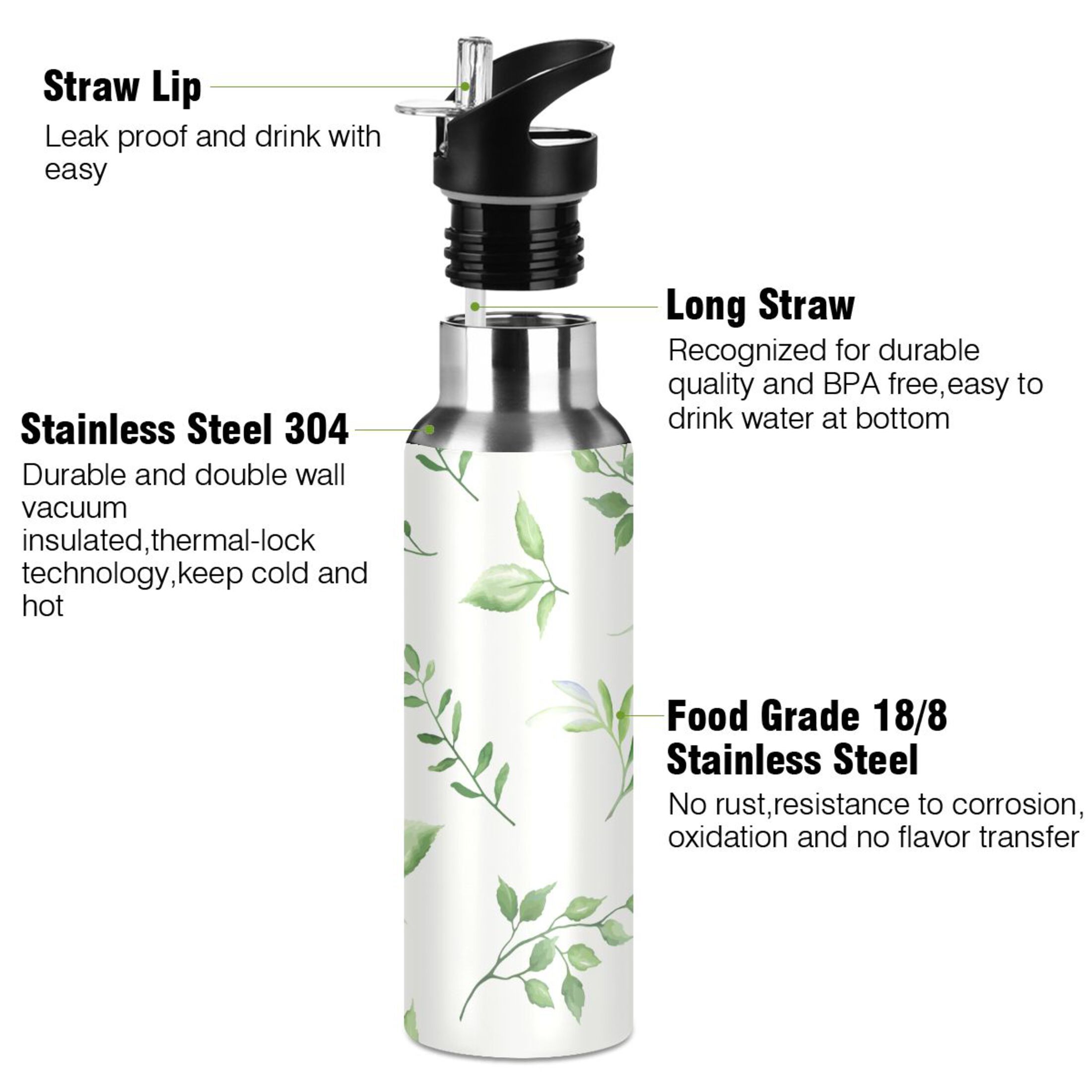 Stainless Steel Water Bottle Green Leaf Tropical Plant with Straw Lid Vacuum Insulated Leak Proof Flask Jug for Gym Travel Sports Cycling Outdoor 20 OZ