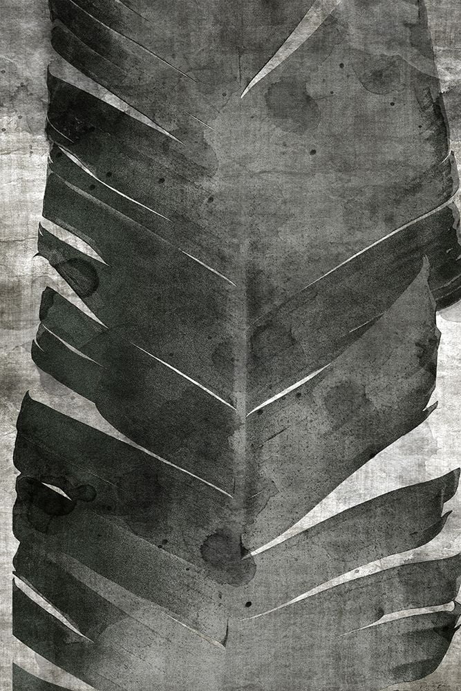 Brown, Denise 13x18 Black Ornate Wood Framed with Double Matting Museum Art Print Titled - Palm Expression 2 V2