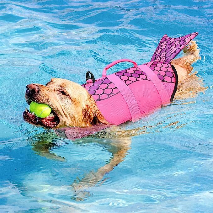 MMTX Dog Life Jacket, Ripstop Dog Life Vest, Adjustable Dog Life Preserver with Strong Buoyancy and Durable Rescue Handle Puppy Life Jacket for Small Medium Large Dogs Swimming Boating