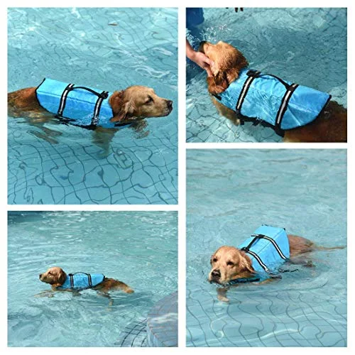 Doglay Dog Life Jacket with Reflective Stripes, Adjustable Dog Lifesaver Pet Life Preserver with High Buoyancy Swimsuit for Small Medium and Large Dogs