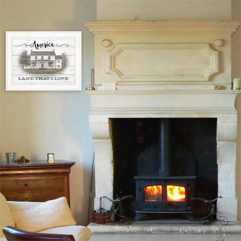 America By Billy Jacobs Printed Framed Wall Art Wood Multi-Color