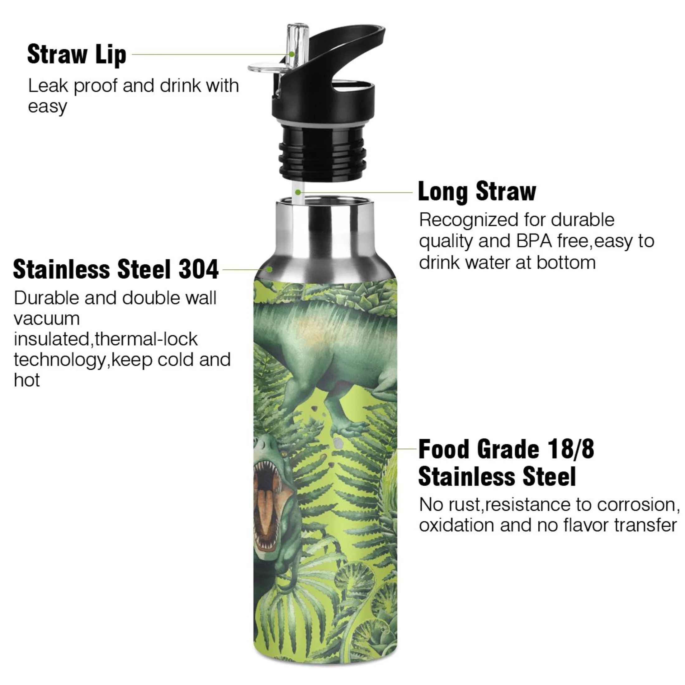 Water Bottle with Straw Lid Leak Rex Dinosaurs Jurassic Age Stainless Steel Insulated Thermos Vacuum Flask for Cold Hot Drinking for Sports Camping Gym Yoga