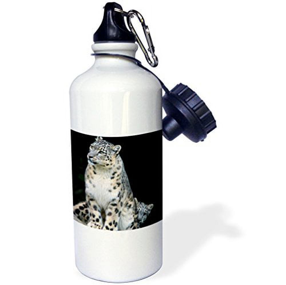 3dRose Snow Leopard, Panthera uncia, Asia - AS26 AMR0000 - Andres Morya Hinojosa, Sports Water Bottle, 21oz