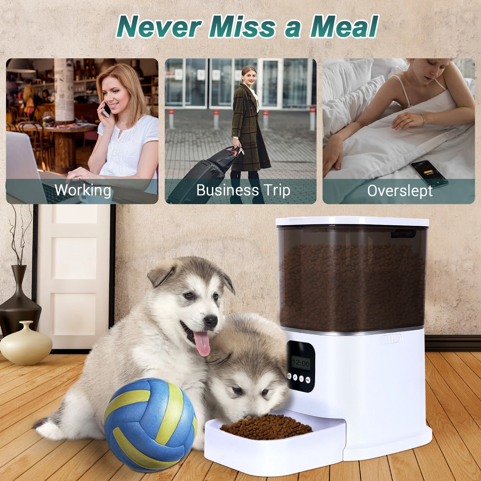 Deeteck Automatic Cat Feeder- 6L Auto Pet Dry Food Dispenser with Desiccant Bag