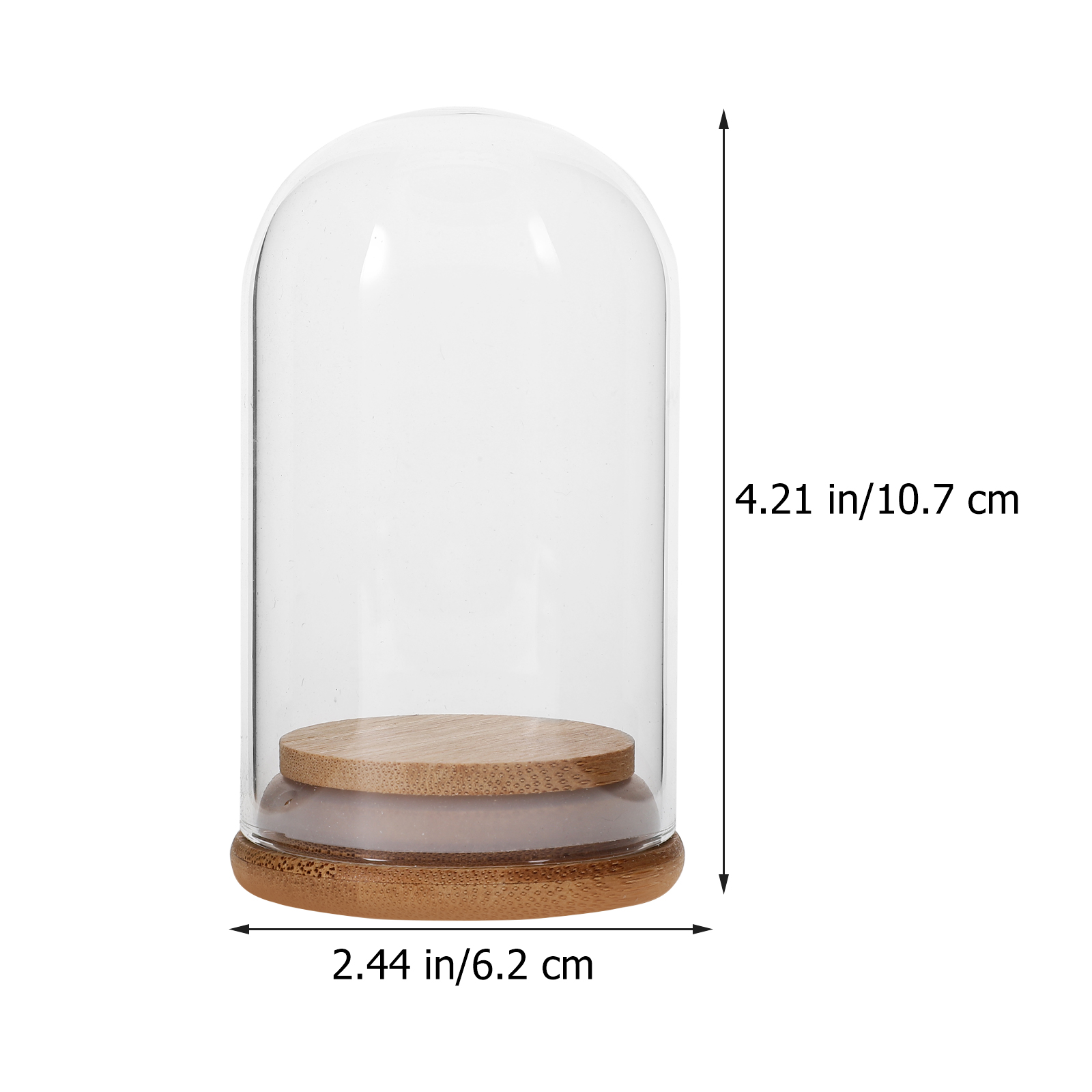 Preserved Flower Doll 5 Pcs Glass Figurine Holder Antique Display Dome Plant Decor Cabinet Globe Cases Bamboo