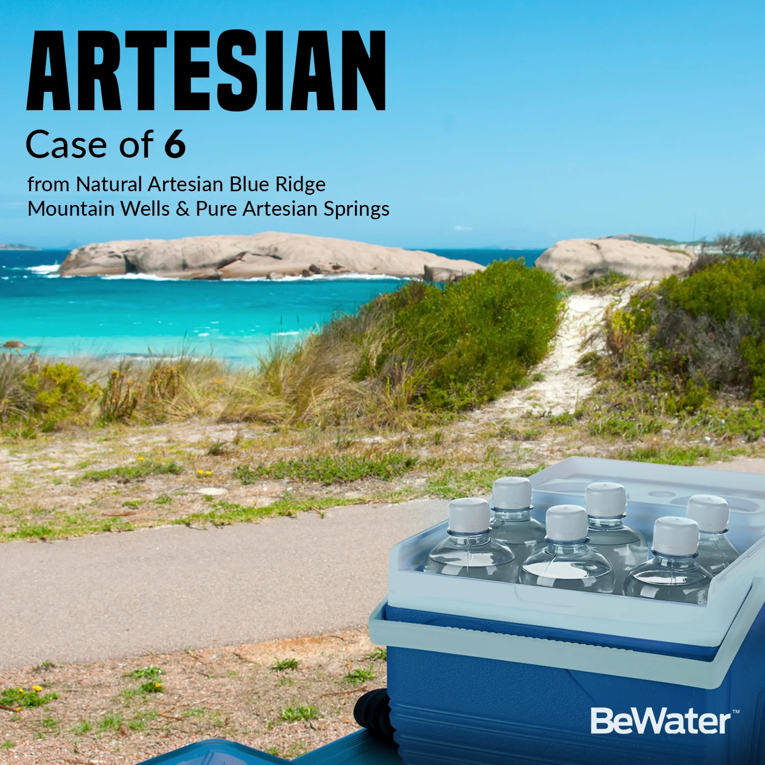 Be Water Artesian (4 cases of 6) from Natural Blue Ridge Mtn Wells & Pure Artesian Springs - Naturally Flowing, Safe Ionized Premium Bottled Drinking Agua Embotellada/Safe BPA Free Hydration