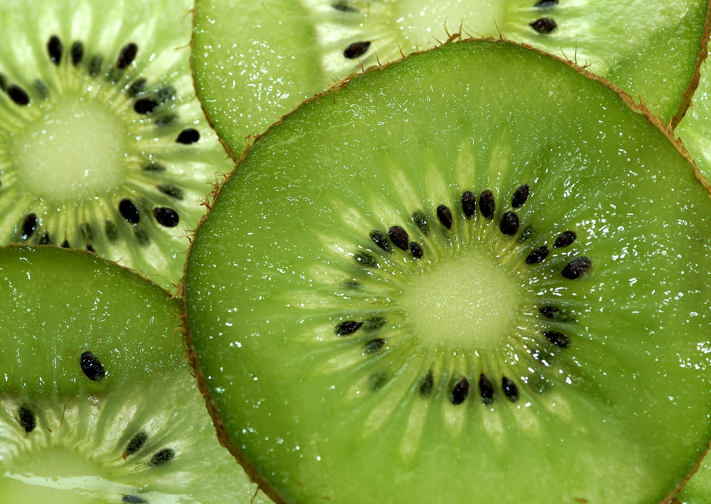 Bulk Kiwi Slices 10 Pound Wholesale Box